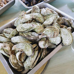 禁用流氓软件网站拦截功能展示